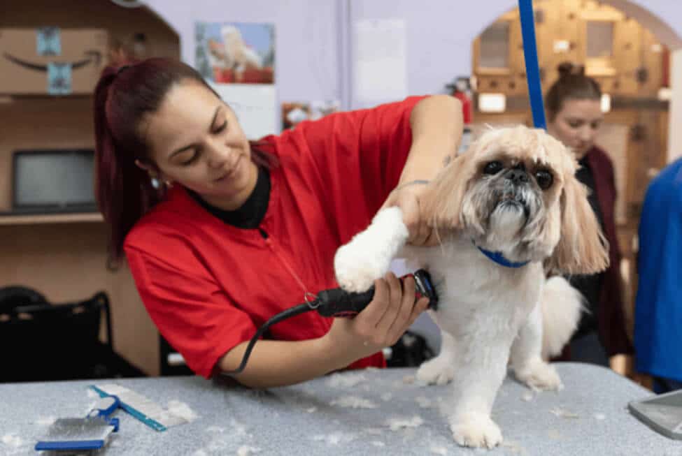 Grooming school hero banner