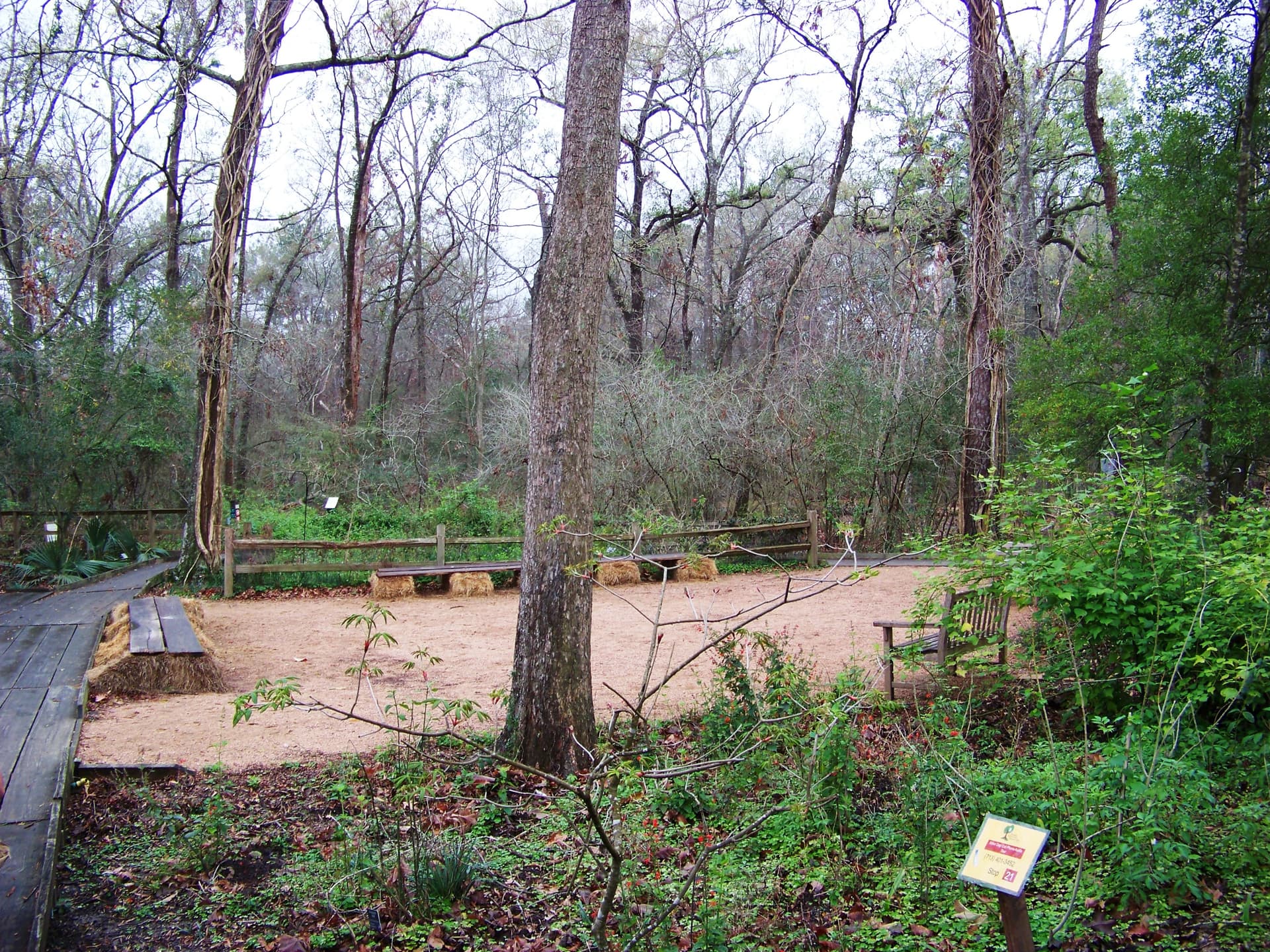 Houston Arboretum and Nature Center