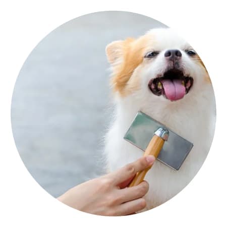 Brushing