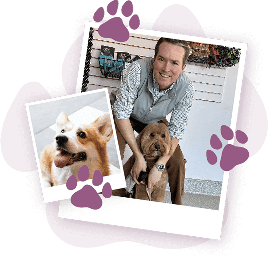 dog owner