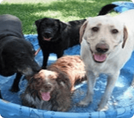 Watch Daycare TV