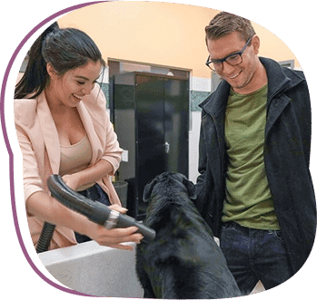 pet evaluation